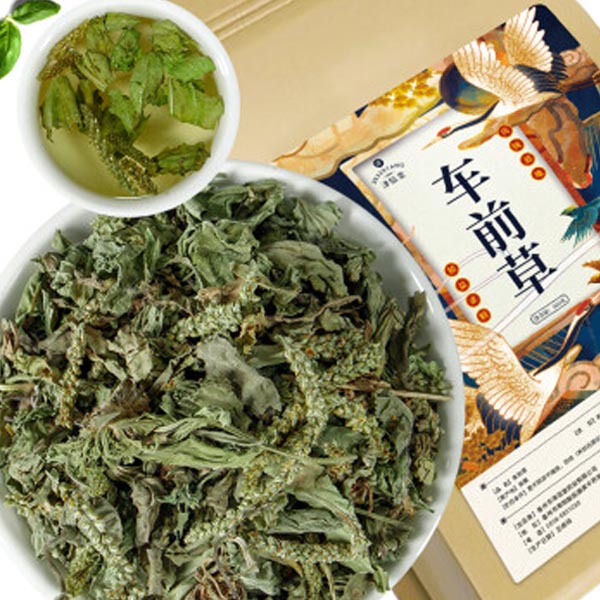 Zexintang Cheqian Grass 500g