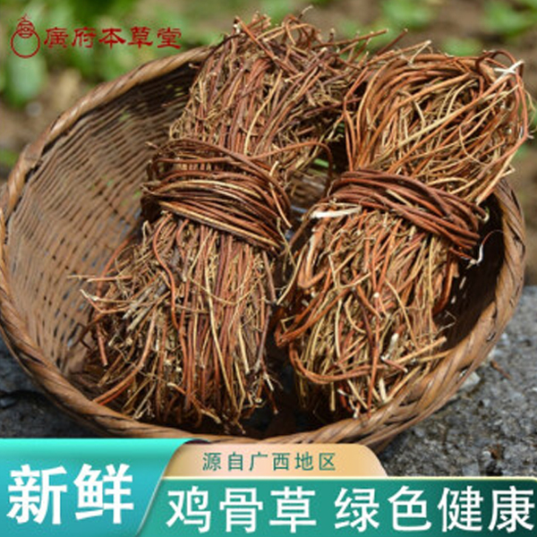 Guangfu Bencao Tang Chicken Bone Grass 500g